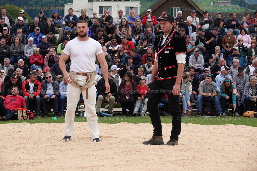 DSC02062 | Schwingen - Realisiert mit Pictrs.com
