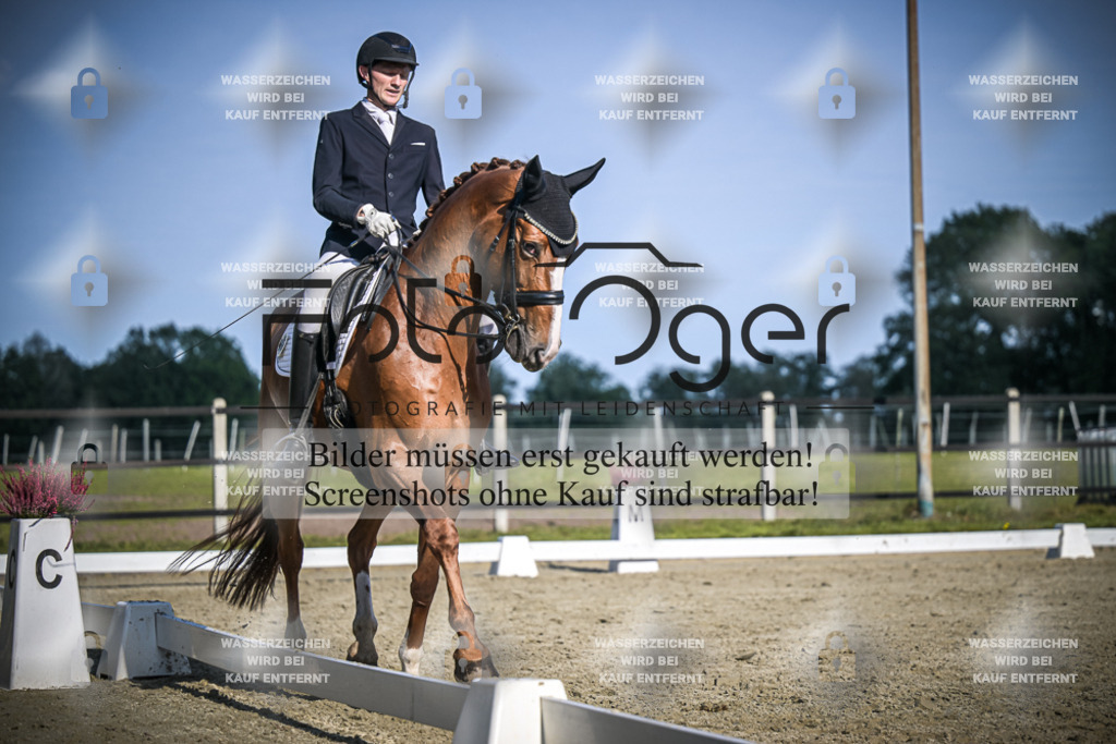DOS_3384 | Entdecke hochwertige Reitturnierfotos von Foto Oger. Professionell, emotional und authentisch – jetzt Lieblingsmomente im Shop bestellen.Deutschlandweite Turnierfotografie. - Realisiert mit Pictrs.com