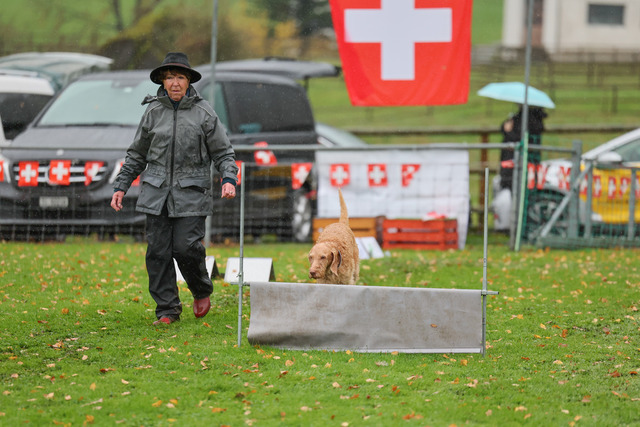 2025_Rally_Obedience_SM-229 | Ich fotografiere Hundeausstellungen, Sportanlässe, Zuchtstätten, Hundezucht, Hundeportrait, Lagotto - Realisiert mit Pictrs.com
