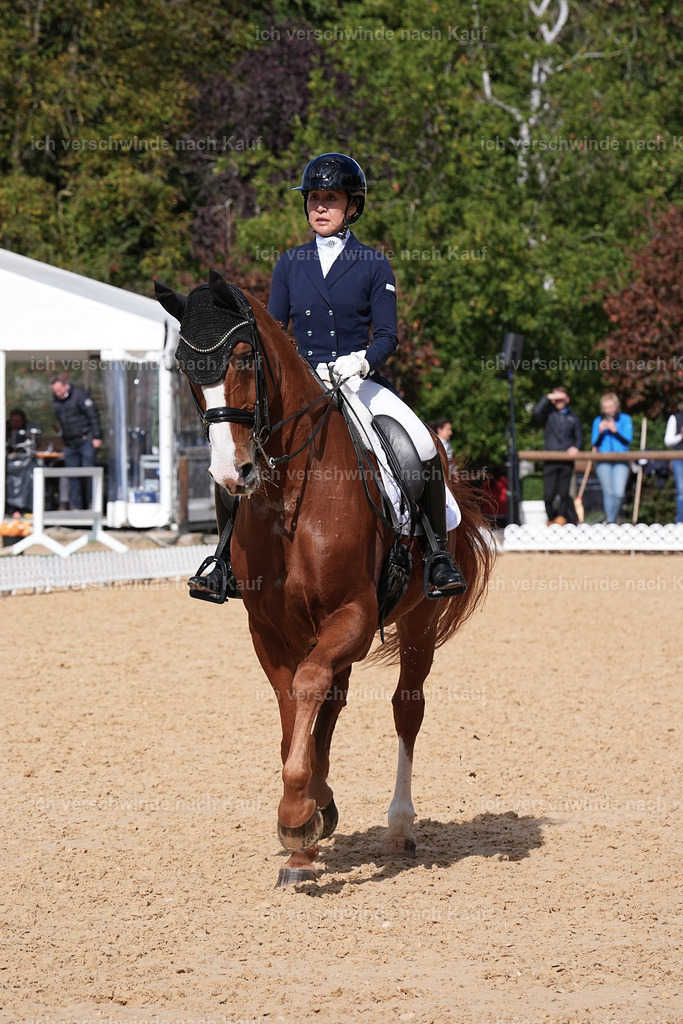 09_2-231-DRESSUR  S_  -Marixx-5997 | working equitationturnier fotograf videograf stoibphotography marixx film working equitation deutschland reitsport turnierfotografie eventfotografie equestrian events