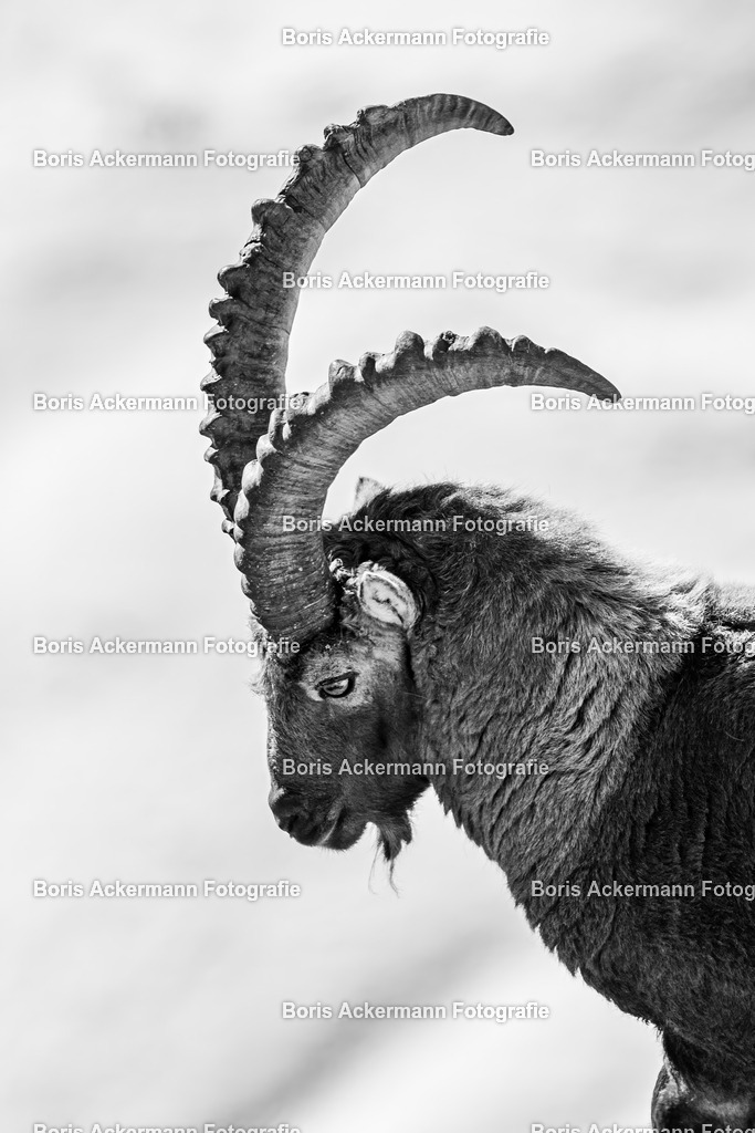 148A4937 | FineArtPrint, Hahnemühle, FeeGalerie, Fee Galerie, Fotokunst, Fotografie, Canonphotography, Bergfoto, Matterhorn, Rimpfischhorn, Allalinhorn, Saas-Fee, Wallis, Valais, Switzerland, Bergfotografie