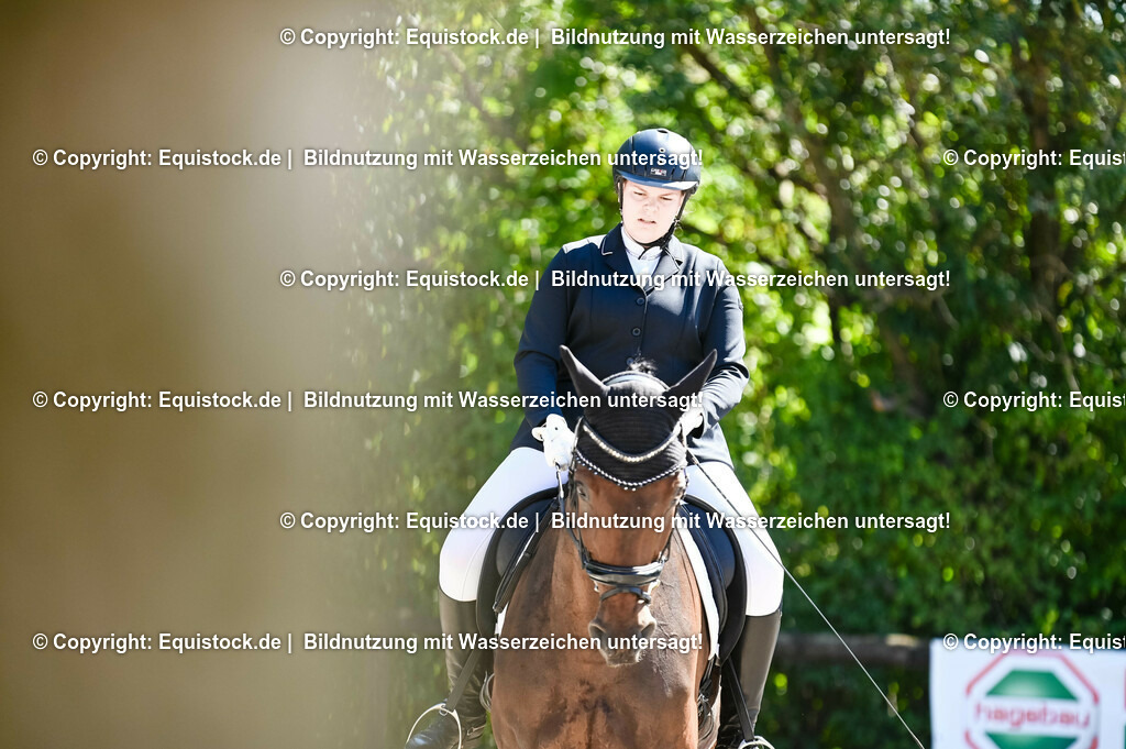 20230908_06_Dressur-L-Trense_0532 | equistock