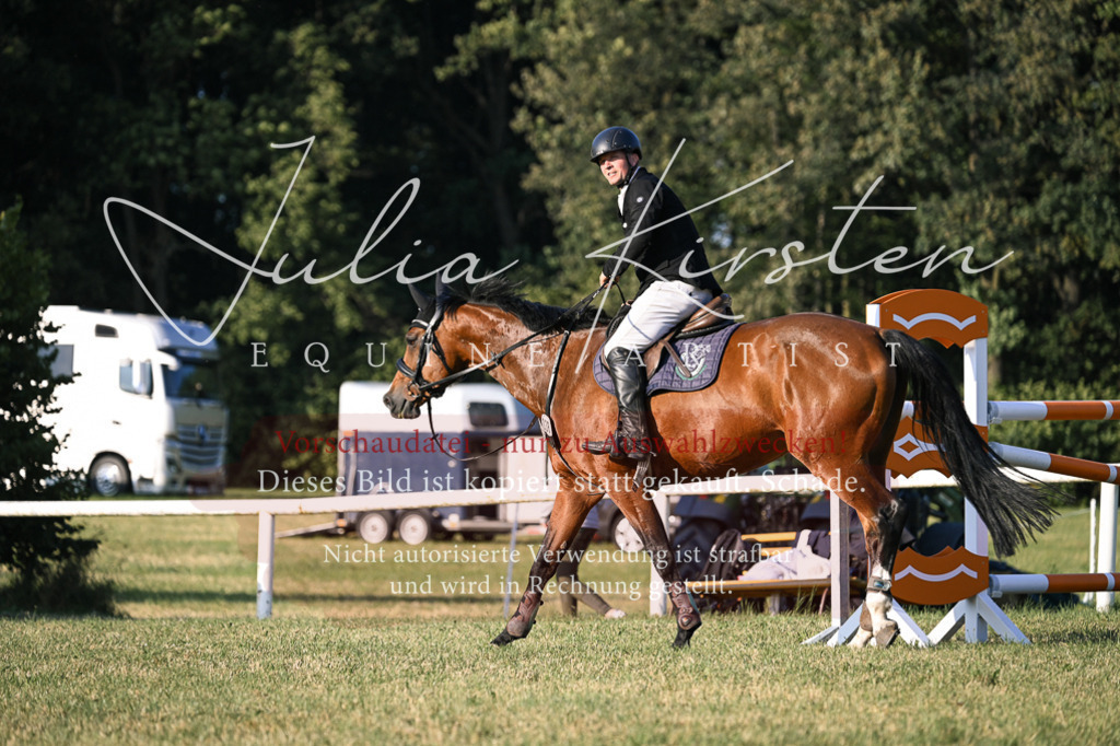 DSC_1821 | Pferde- und Turnierfotografie in Westsachsen. Pferdeportraits, Auftragszeichnungen und intuitive Kunst.