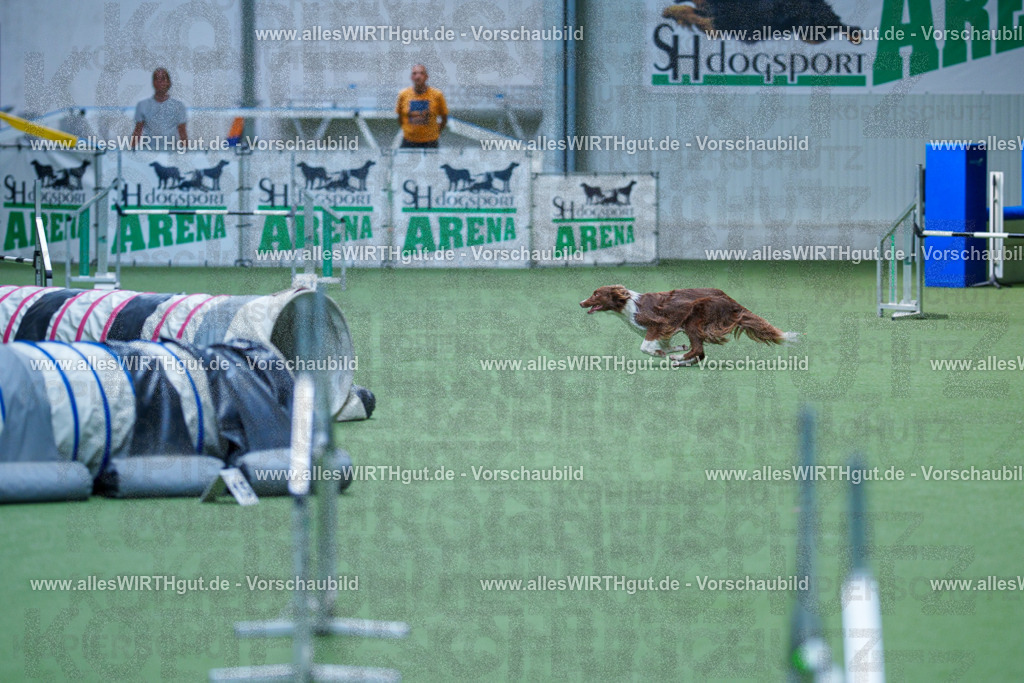 @allesWIRTHgut_Tierfotografie - www.allesWIRTHgut.de - 2604261402-7R503256 | Professionelle Tierfotografie in Mönchengladbach von Daniel Wirth (allesWIRTHgut). Liebevolle & natürliche Bilder von Hunden & Katzen für unvergessliche Erinnerungen.