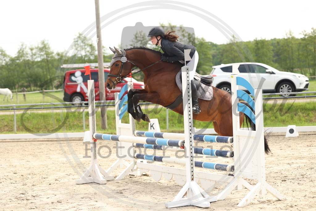 994A7604 | sabrinanicolaifotografie - Realisiert mit Pictrs.com