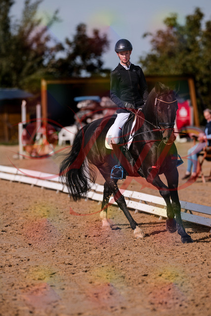 2026_10_03_Siefer-Hof_115802_Z81_99782120 | Professionelle Reitsport-, Turnier- und Eventfotografie von Robert Broda. Galerien mit ausgewählten und bearbeiteten Bildern direkt online ansehen und bestellen.