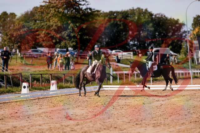 2026_10_03_Siefer-Hof_121403_Z81_15063647 | Professionelle Reitsport-, Turnier- und Eventfotografie von Robert Broda. Galerien mit ausgewählten und bearbeiteten Bildern direkt online ansehen und bestellen.