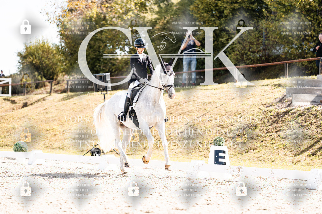 CK902975 | Turnierfotografie Pferdefotografie Trier Rheinland-Pfalz Pferdesport Reitsport Tierfotografie Sportfotografie Pferdevideo Pferdevideografie Equestrianvideography equestrianphotography  - Realisiert mit Pictrs.com