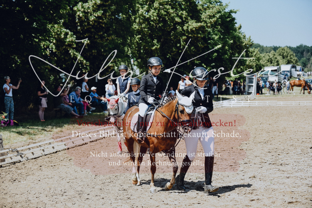 DSC_2461 | Pferde- und Turnierfotografie in Westsachsen. Pferdeportraits, Auftragszeichnungen und intuitive Kunst.