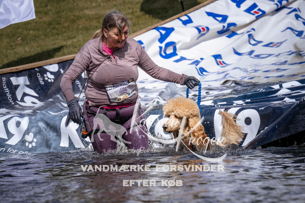 _ZZ932480936 | kk-dogfotos