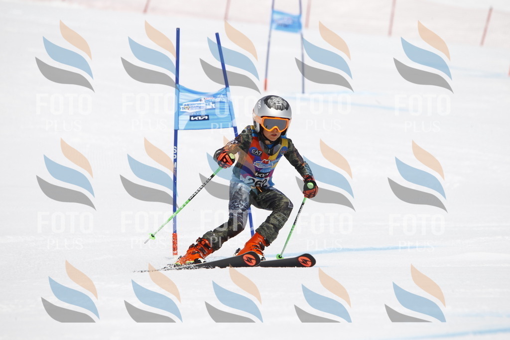 _U3G6556 | holidayphoto