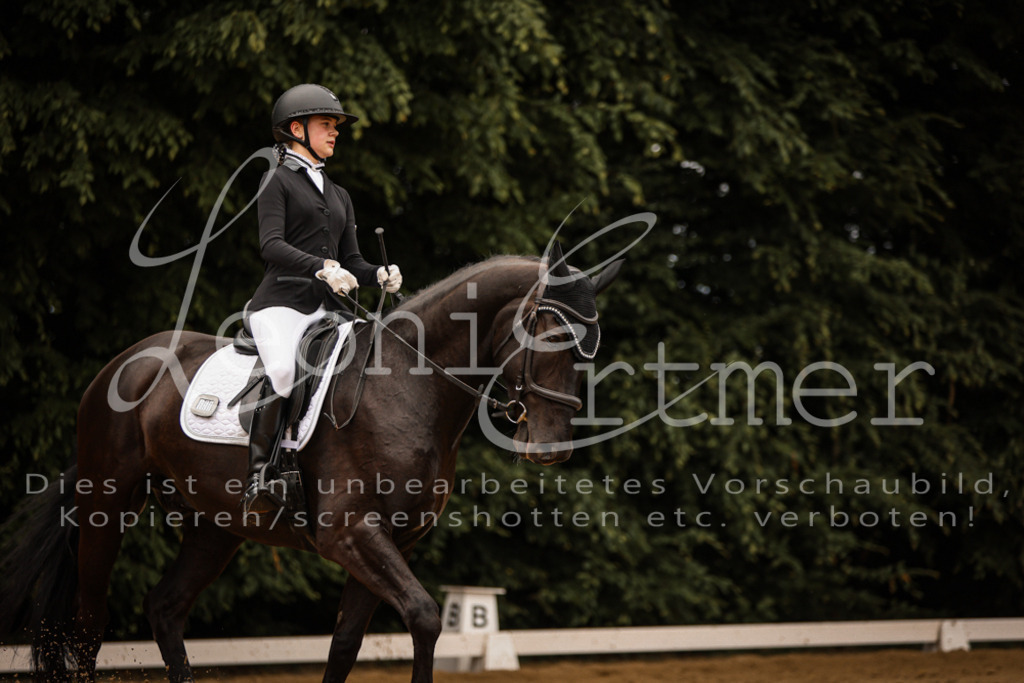 DoDrE00216 | Leoni Ertmer Photography - Realisiert mit Pictrs.com