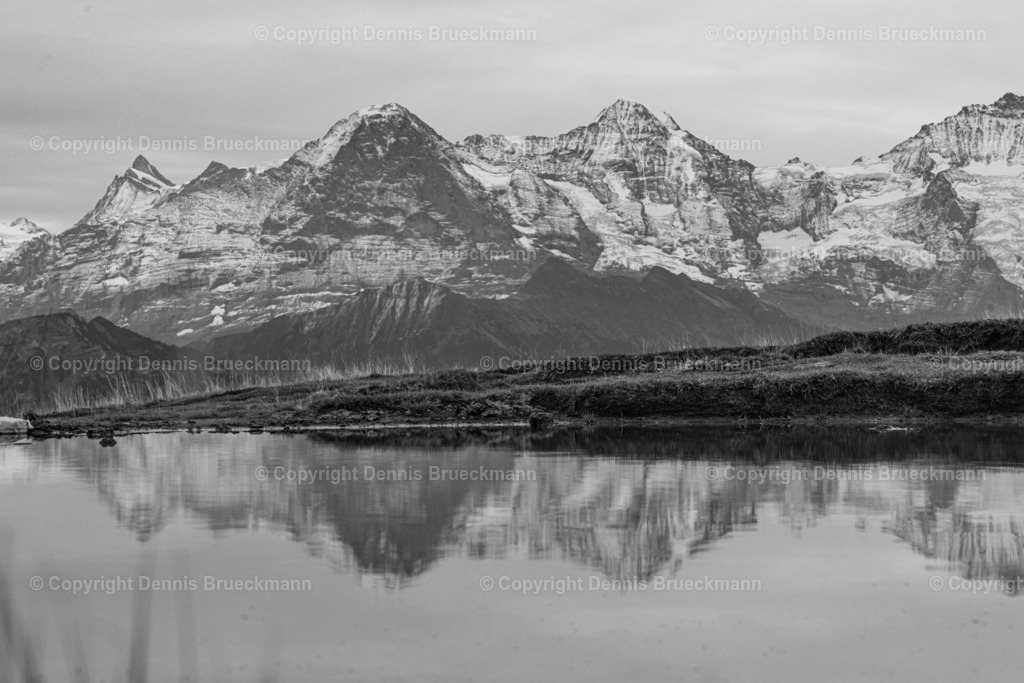Alpenspiegelung am Niederhorn | Dennis-Brueckmann-Fotografie - Realisiert mit Pictrs.com