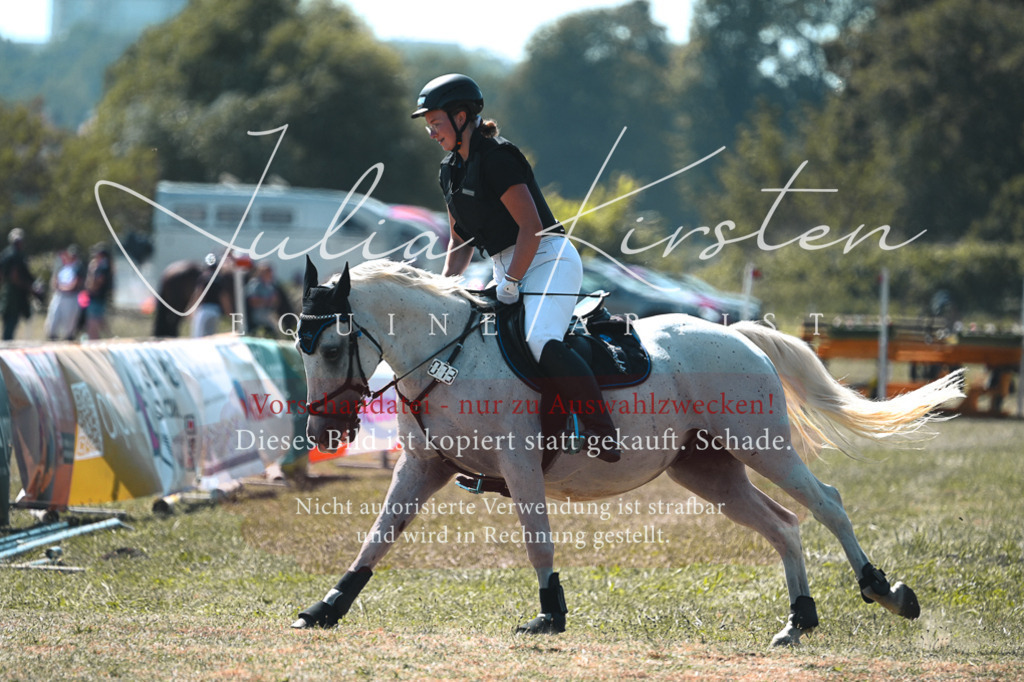 DSC_8312 | Pferde- und Turnierfotografie in Westsachsen. Pferdeportraits, Auftragszeichnungen und intuitive Kunst.