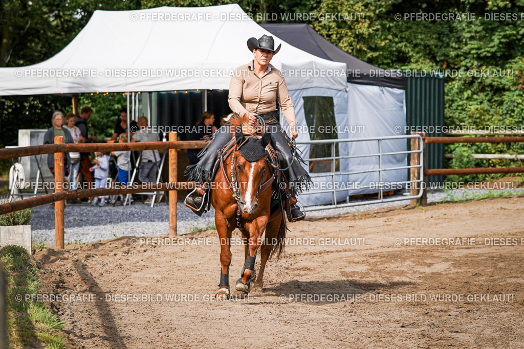 DSC09604 | Pferdegrafie