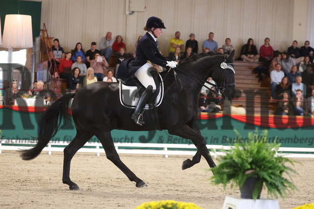 Bisingen_2023_Prfg.Nr.31_Grand Prix Special_Annett Böhm_Blackmoney (16) | Alle Fotos der Reiterjournal Fotografin Doris Matthaes im Reiterjournal Online-Fotoshop. - Realisiert mit Pictrs.com