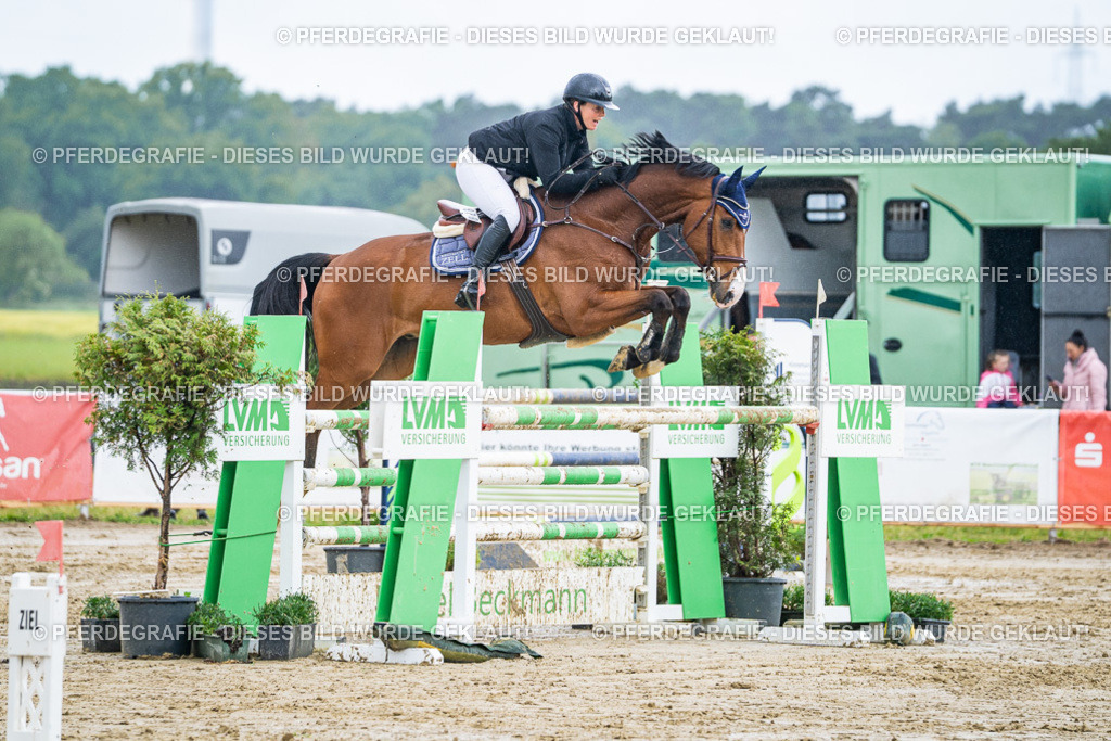 DSC03828 | Pferdegrafie