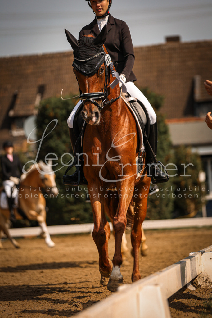 14.SaDrA00287 | Leoni Ertmer Photography - Realisiert mit Pictrs.com