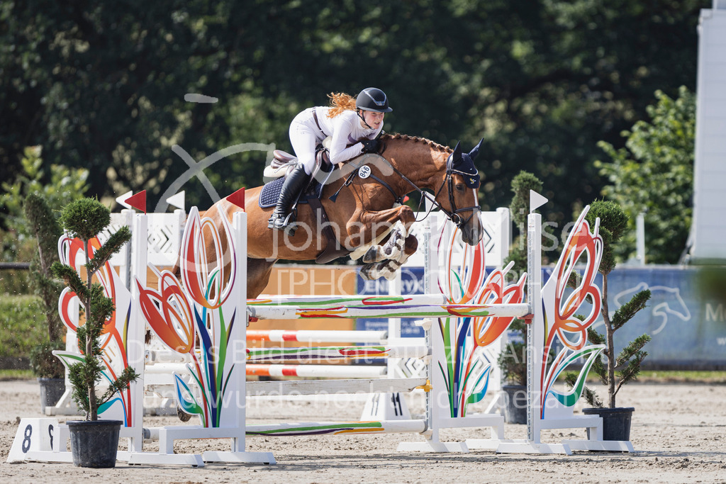 250629_PfSpTa_Stil-L2-346 | Deine schönsten Turniermomente als professionelle Fotos! Entdecke hochwertige Pferdesport-Fotografie im Online-Shop. Jetzt Fotos finden & bestellen!