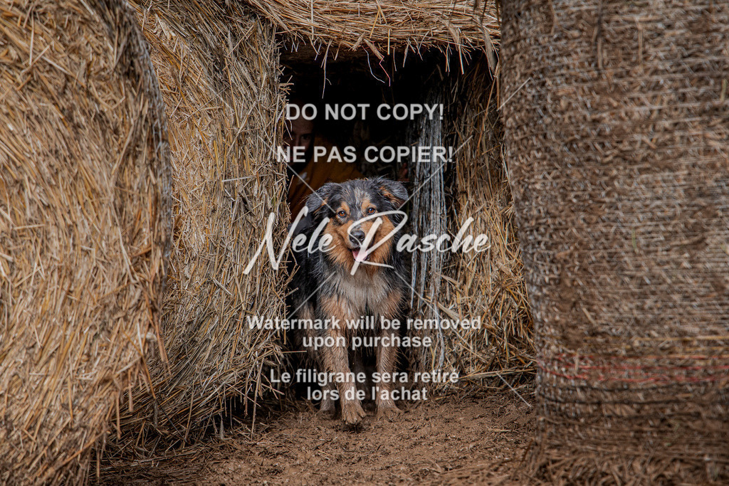 nelerasche_Hunsrück_So13-Ende_132 | nelerasche