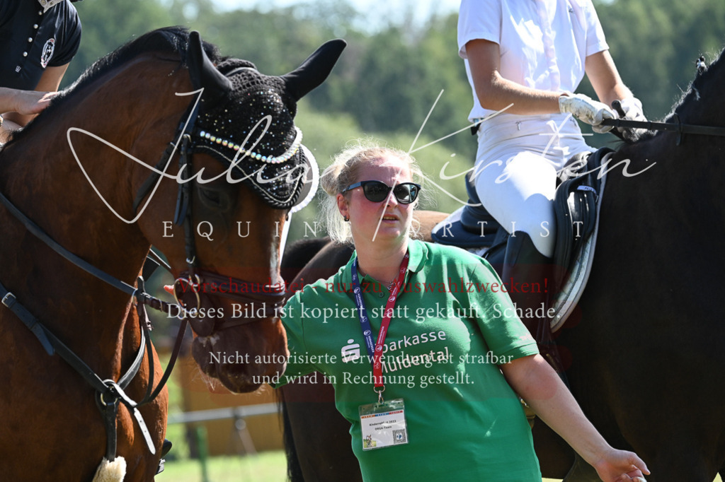 DSC_6490 | Pferde- und Turnierfotografie in Westsachsen. Pferdeportraits, Auftragszeichnungen und intuitive Kunst.