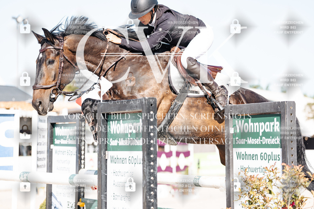 CK904521 | Turnierfotografie Pferdefotografie Trier Rheinland-Pfalz Pferdesport Reitsport Tierfotografie Sportfotografie Pferdevideo Pferdevideografie Equestrianvideography equestrianphotography  - Realisiert mit Pictrs.com
