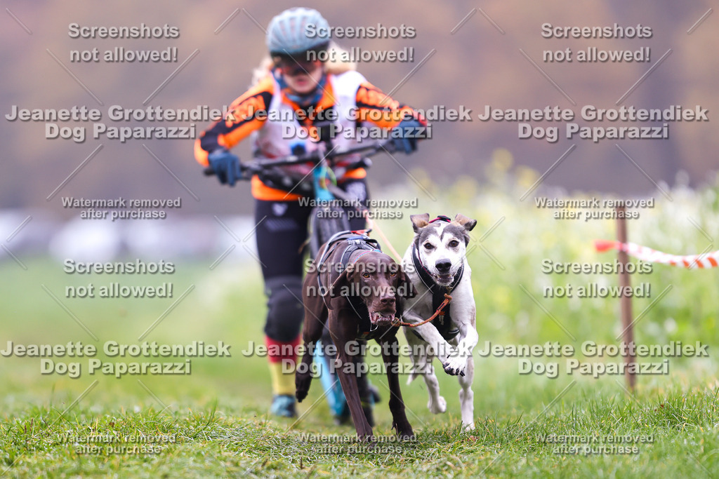 Dog Paparazzi - Visbeck 25 -52 | Dog Paparazzi Jeanette Grottendiek Fotografie & Videografie