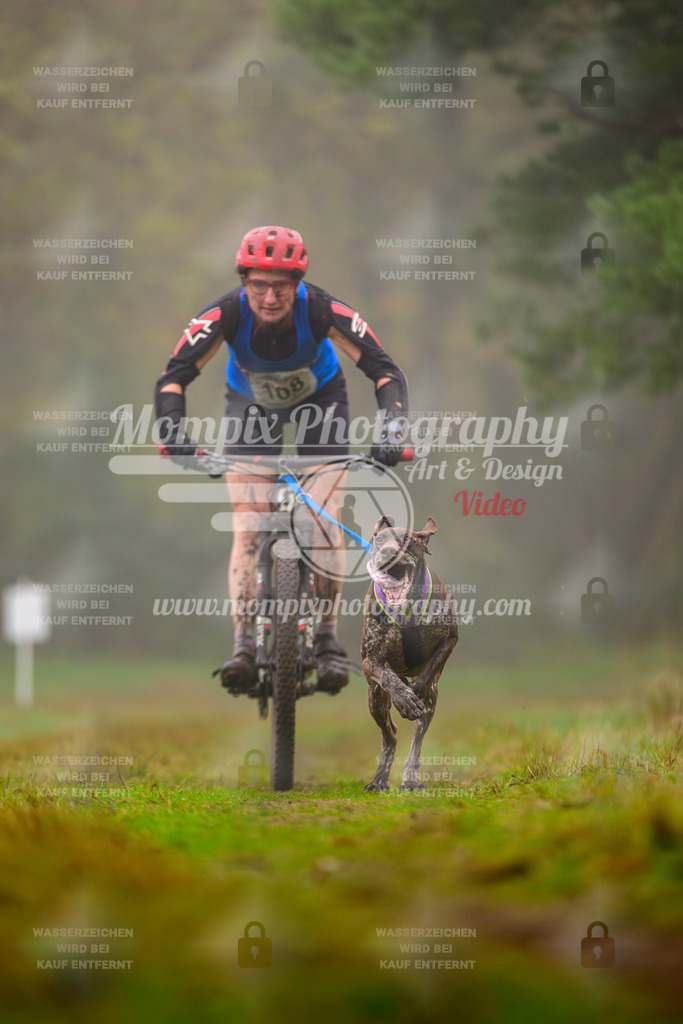 MompixPhotography_Bischwiller2025_Bike-4 | mompixphotography