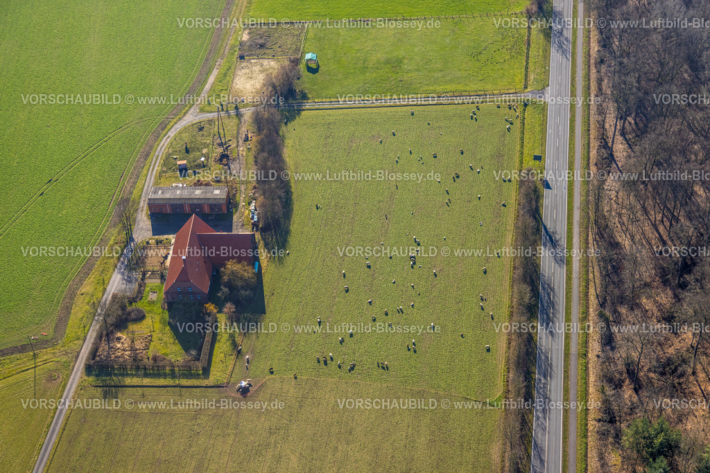 Nordkirchen230206014 | Luftbild, Landwirtschaftlicher Hof, Altendorf Ecke Münsterstraße, Nordkirchen, Münsterland, Nordrhein-Westfalen, Deutschland