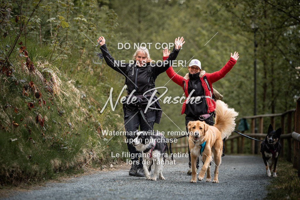 nelerasche_SaAbends_19 | nelerasche