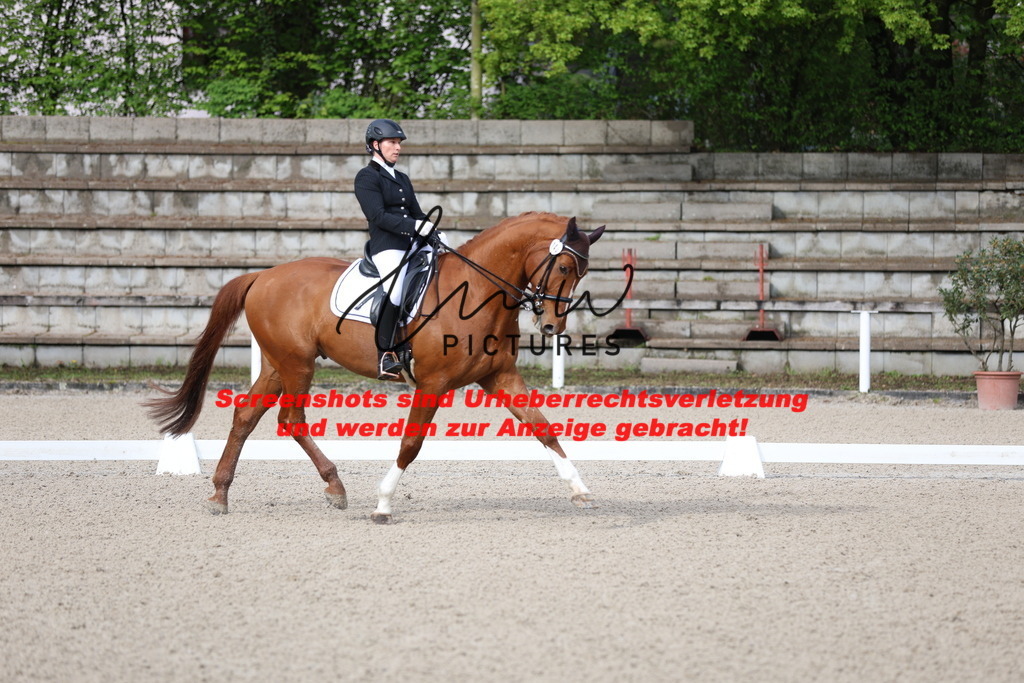 A40A0097 | lmwpictures - Realisiert mit Pictrs.com