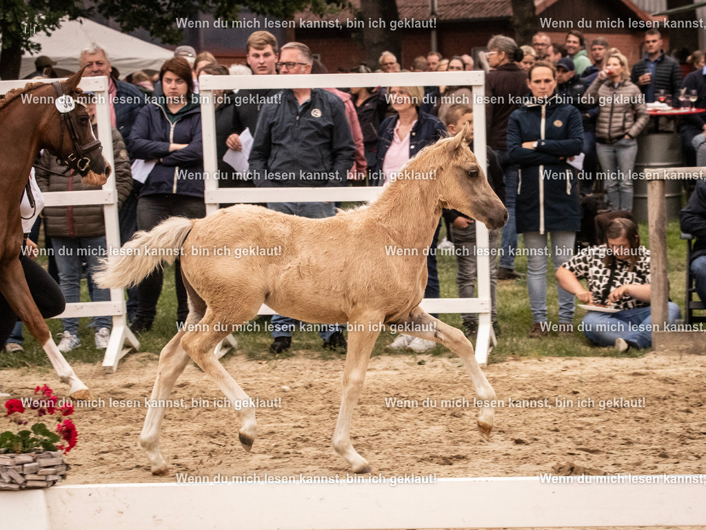 A10I3045 15.56.14 | photographylinaismer - Realisiert mit Pictrs.com