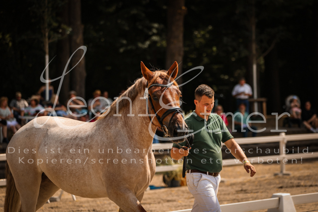 1.Sa00030 | Leoni Ertmer Photography - Realisiert mit Pictrs.com