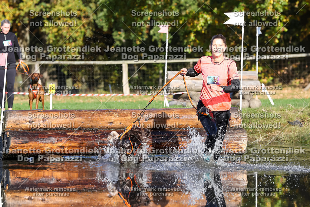 Dog Paparazzi - Strongdog 10-25-8654 | Dog Paparazzi Jeanette Grottendiek Fotografie & Videografie - Realisiert mit Pictrs.com