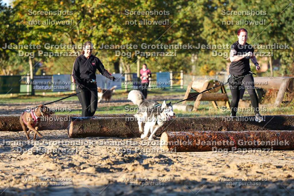 Dog Paparazzi - Strongdog 10-25-668 | Dog Paparazzi Jeanette Grottendiek Fotografie & Videografie - Realisiert mit Pictrs.com