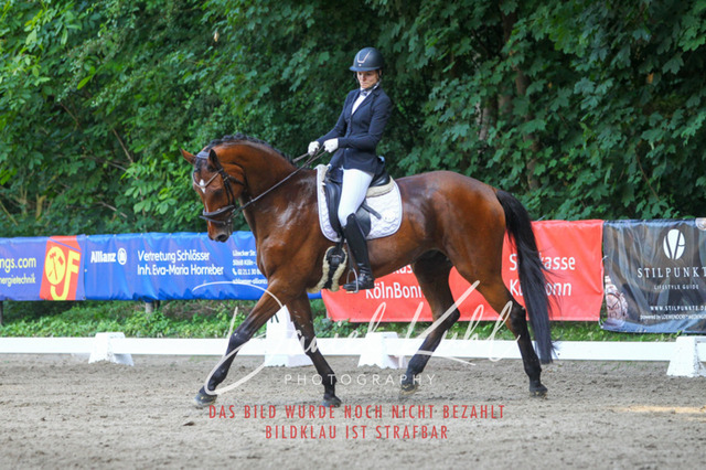 DKP43034 | Turniersportfotografie; Pferdefotografie; Dressurfotografie