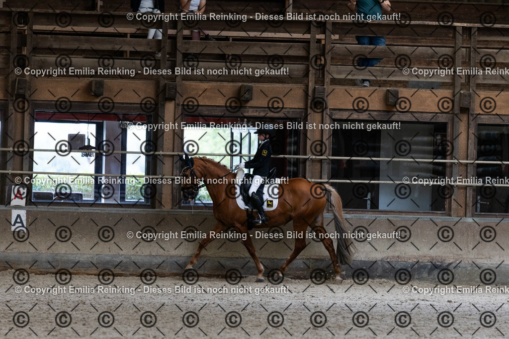 CL5A5410 | Emilia Reinking Fotografie - Realisiert mit Pictrs.com