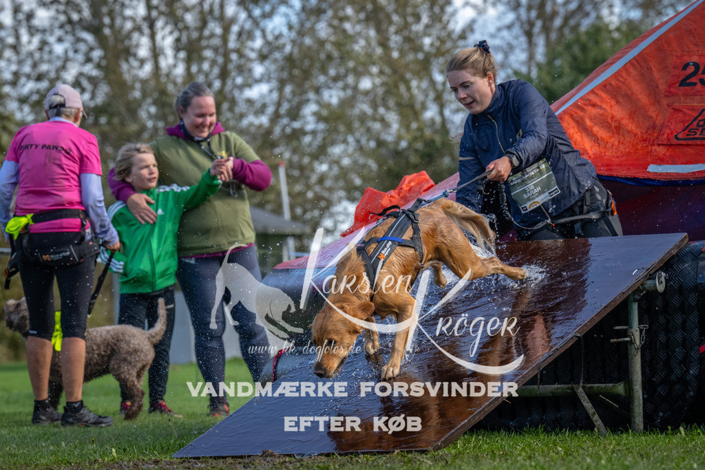 1253-90059 | kk-dogfotos