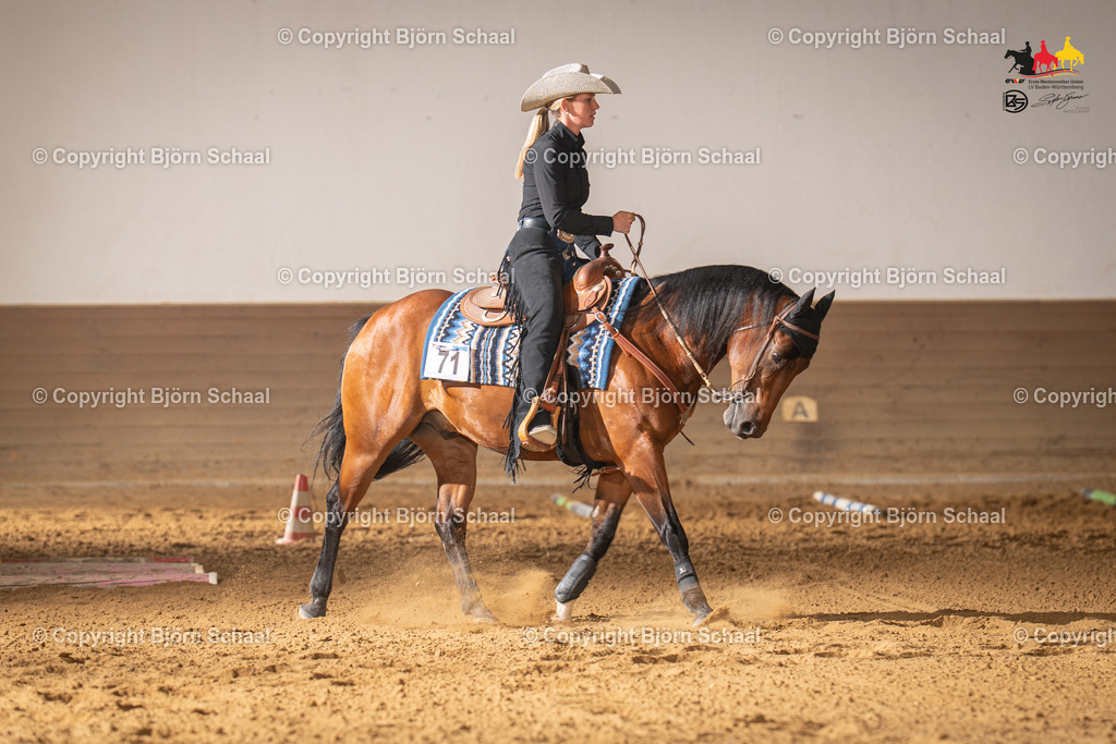 LMS06580 | BS-foto