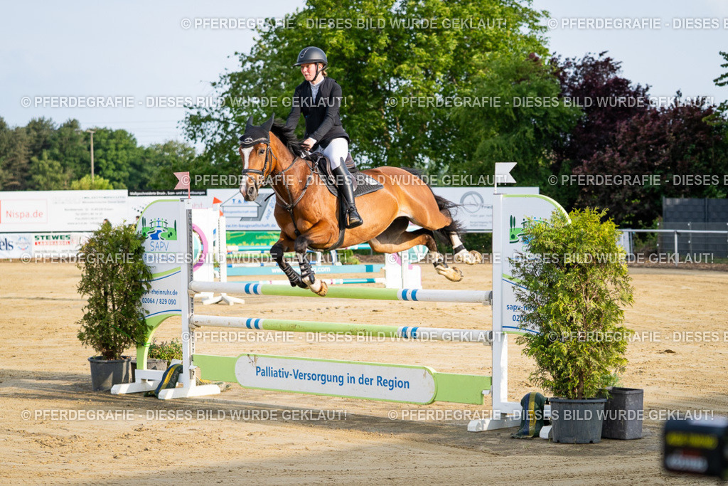 DSC02087 | Pferdegrafie