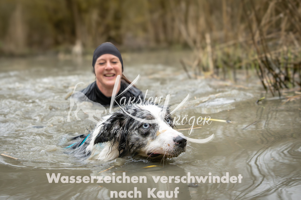 1245_ZZ90222 | kk-dogfotos