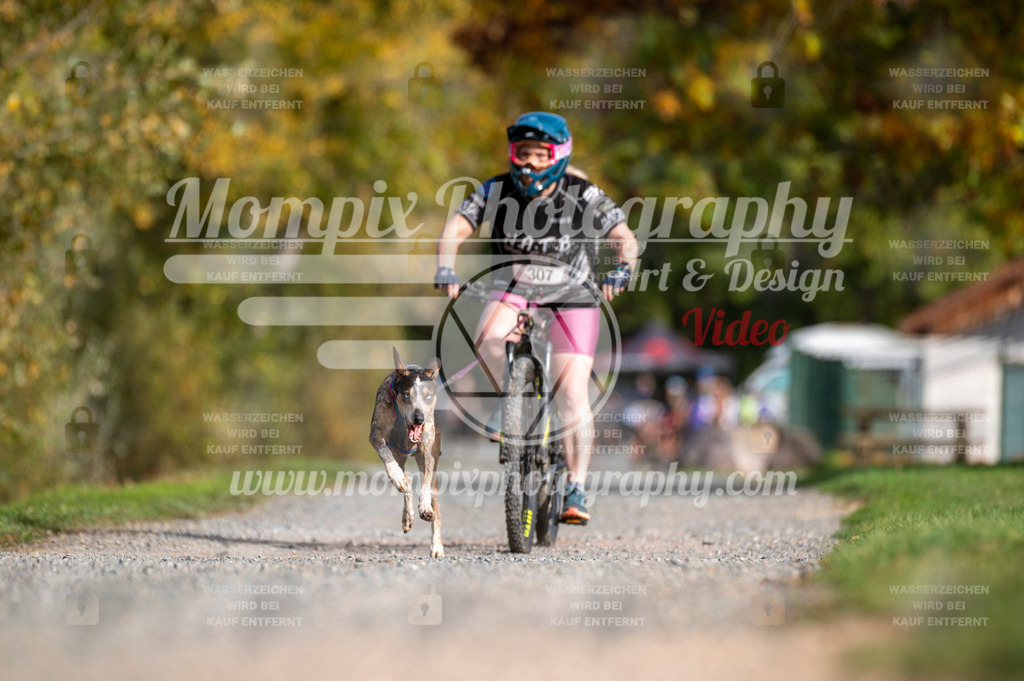 TSB_2023_E2_Bike-42 | PayLife