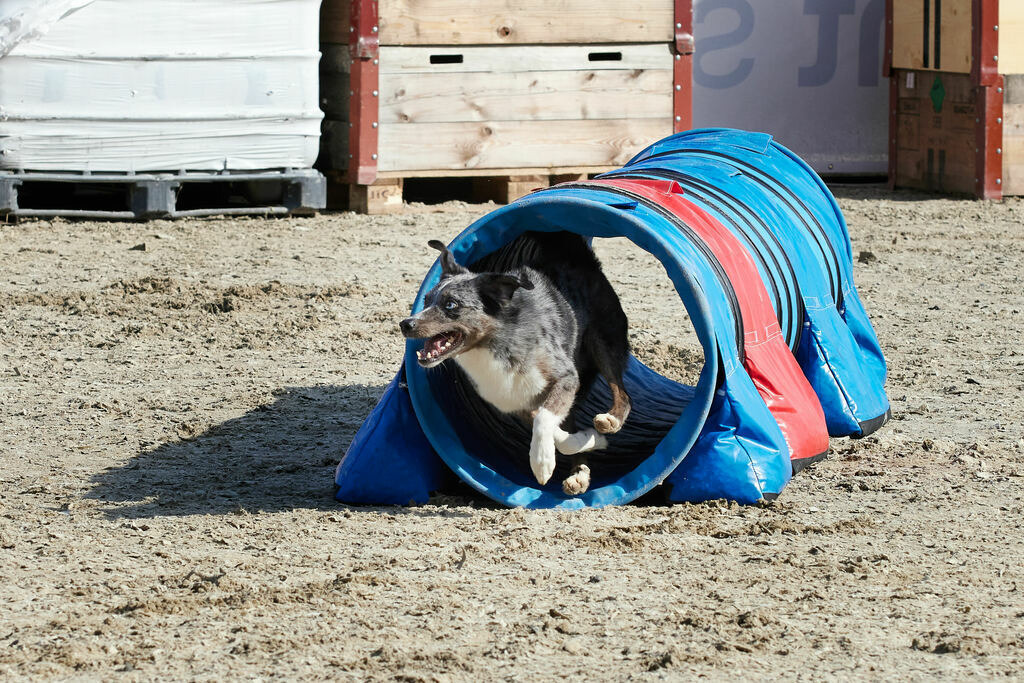 580A0070 | Peter Fridle Fotografie - Realisiert mit Pictrs.com