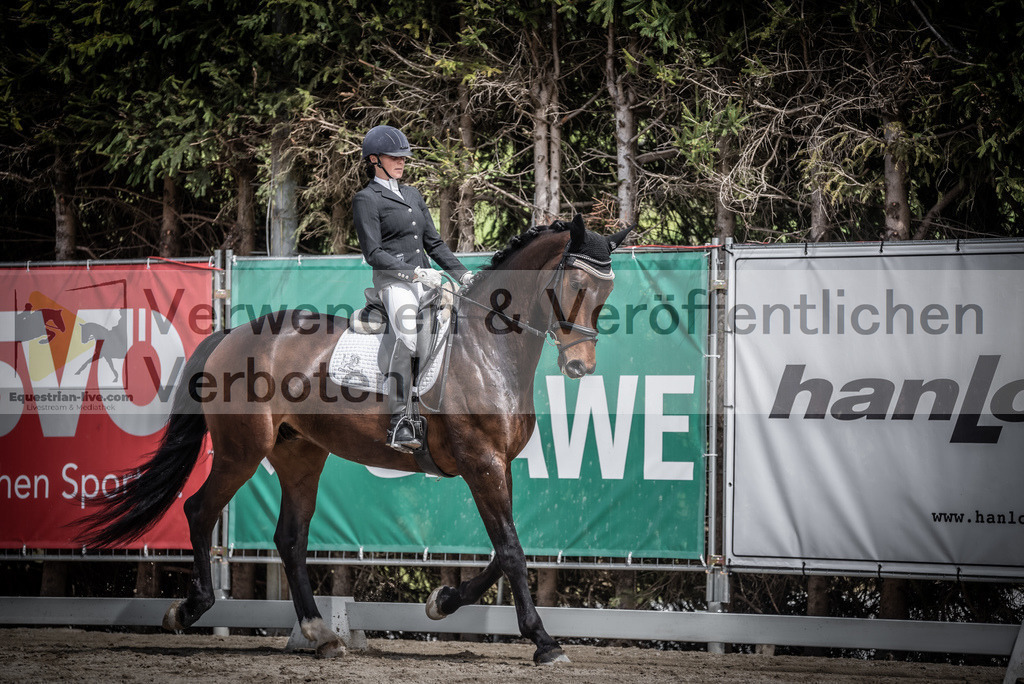 DSC_2219 | equestrian-live-com