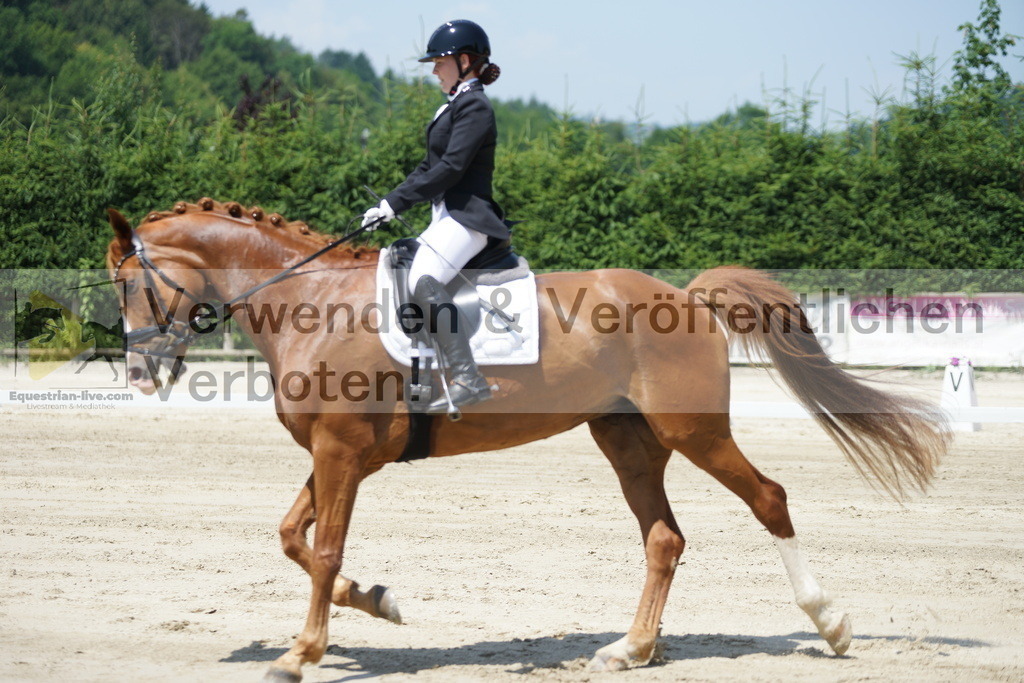 DSC04881 | equestrian-live-com