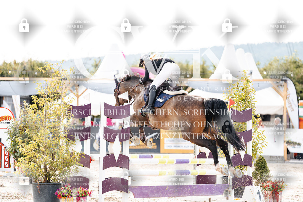 CK907068 | Turnierfotografie Pferdefotografie Trier Rheinland-Pfalz Pferdesport Reitsport Tierfotografie Sportfotografie Pferdevideo Pferdevideografie Equestrianvideography equestrianphotography  - Realisiert mit Pictrs.com