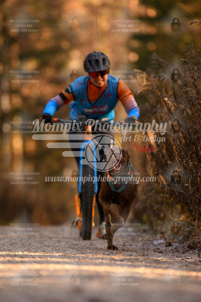 MompixPhotography_DM_AKDM_SO_2025_Scooter-124 | PayLife