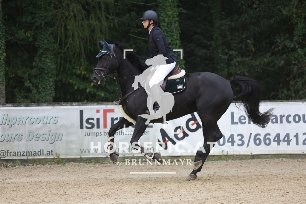 0P6A0869 | Willkommen bei Brunnmayr - Design & Fotografie – Ihrem Spezialisten für Reitturniere und Pferdeveranstaltungen in Oberösterreich, Salzburg und Bayern! Seit über 17 Jahren sind wir leidenschaftlich dabei.