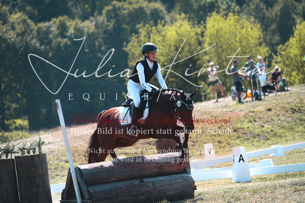 DSC_8266 | Pferde- und Turnierfotografie in Westsachsen. Pferdeportraits, Auftragszeichnungen und intuitive Kunst.