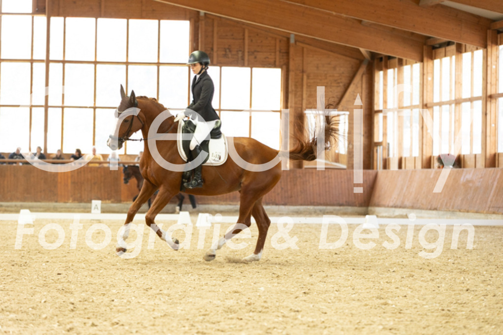 IMG_5911 | Creatify Fotografie